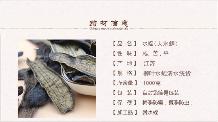 大条水蛭1.jpg