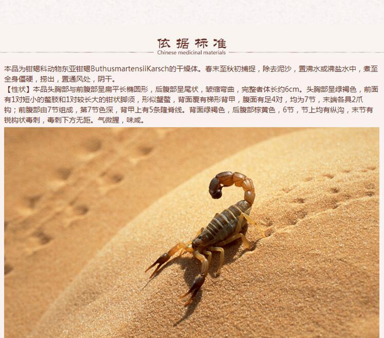全蝎4.jpg