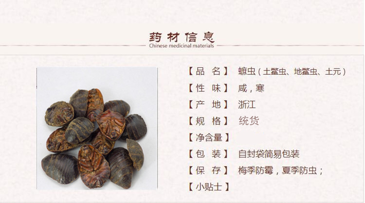 菟丝子1_副本.jpg