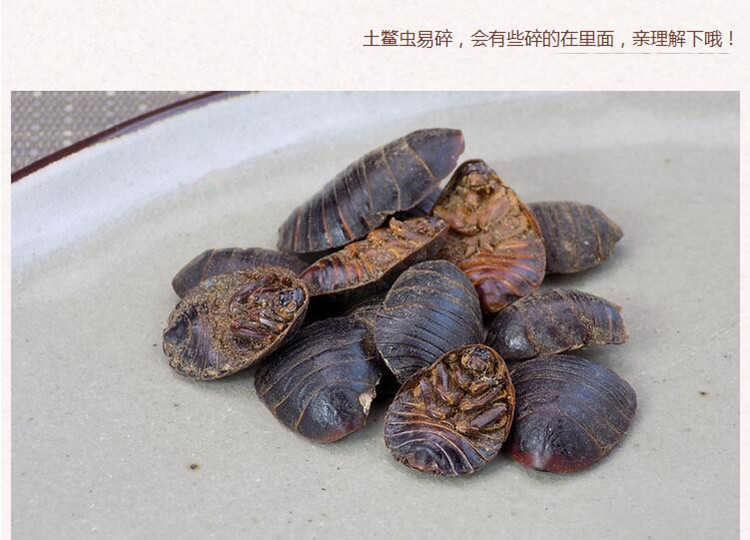 蟅虫3.jpg