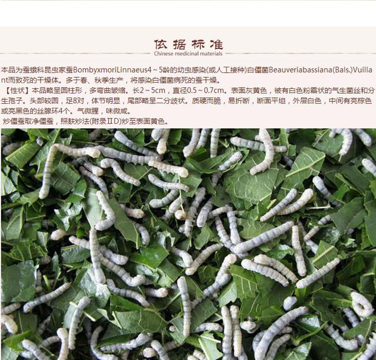 选货白僵蚕8.jpg