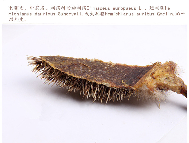 刺猬皮3.jpg
