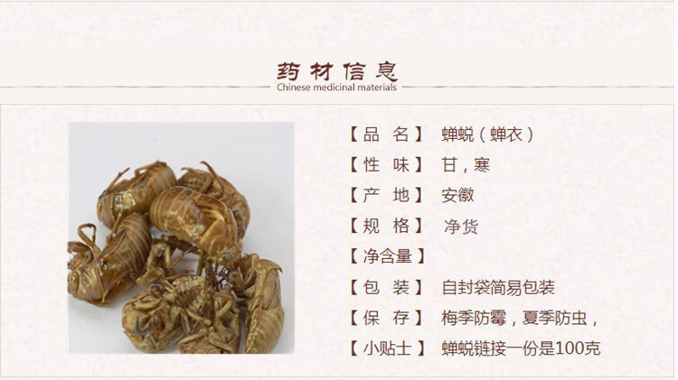 xin蝉蜕1.jpg