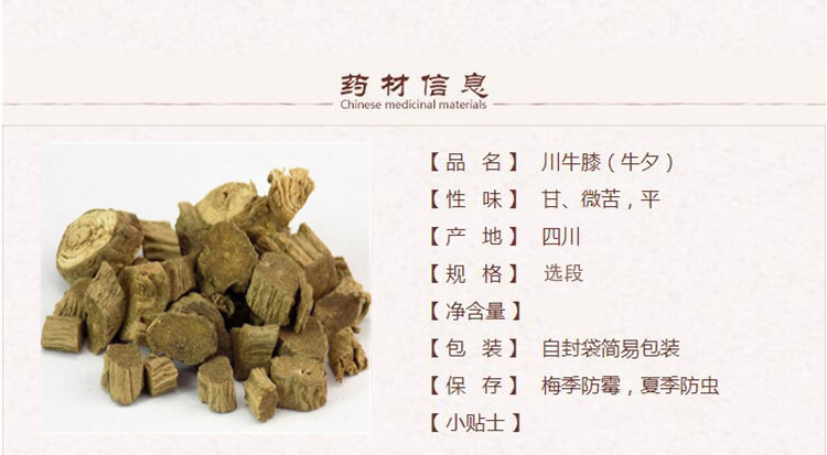 川牛膝1_副本.jpg