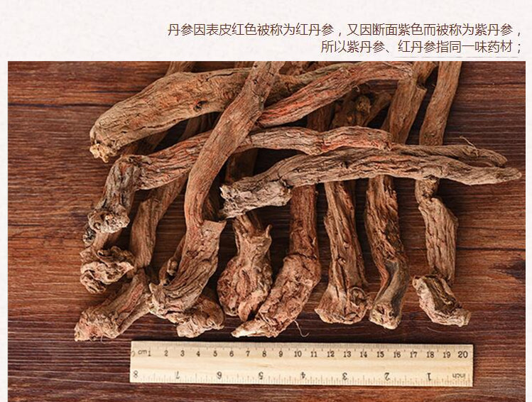 丹参选条4.jpg