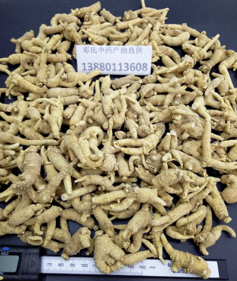 shandongxiyangshen3keyuancongal011.jpg