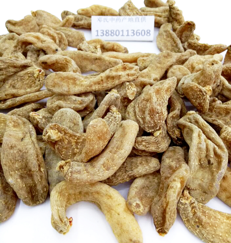 tianmatiaozimaerjialal012.jpg
