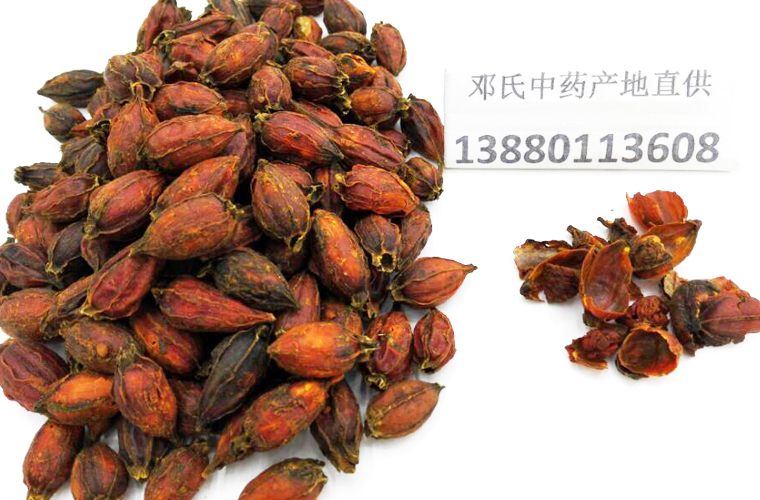zhizizhenggeal013.jpg