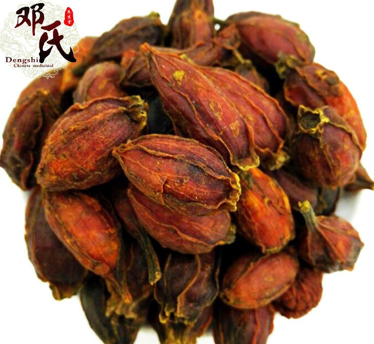 zhizizhenggeal01.jpg