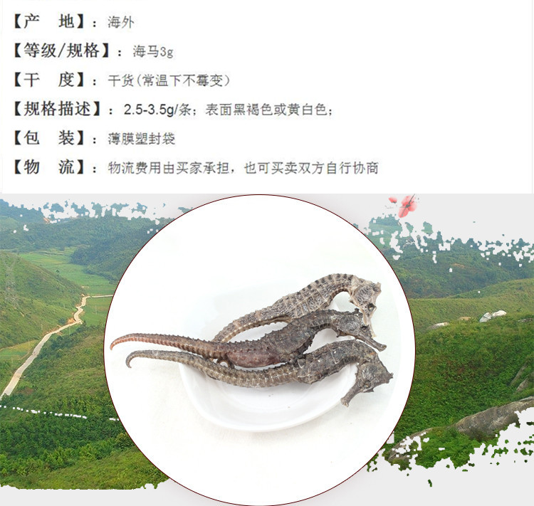 xin海马1.jpg