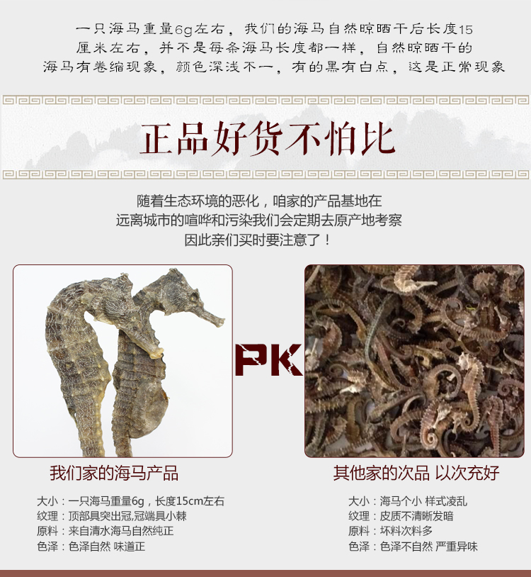 海马8.jpg