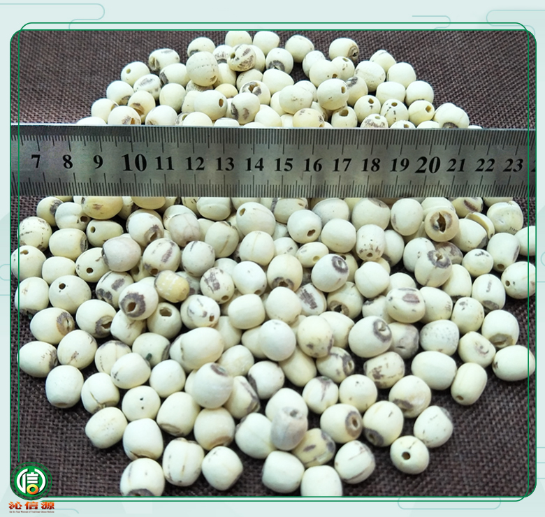 dianpumuban0022.jpg