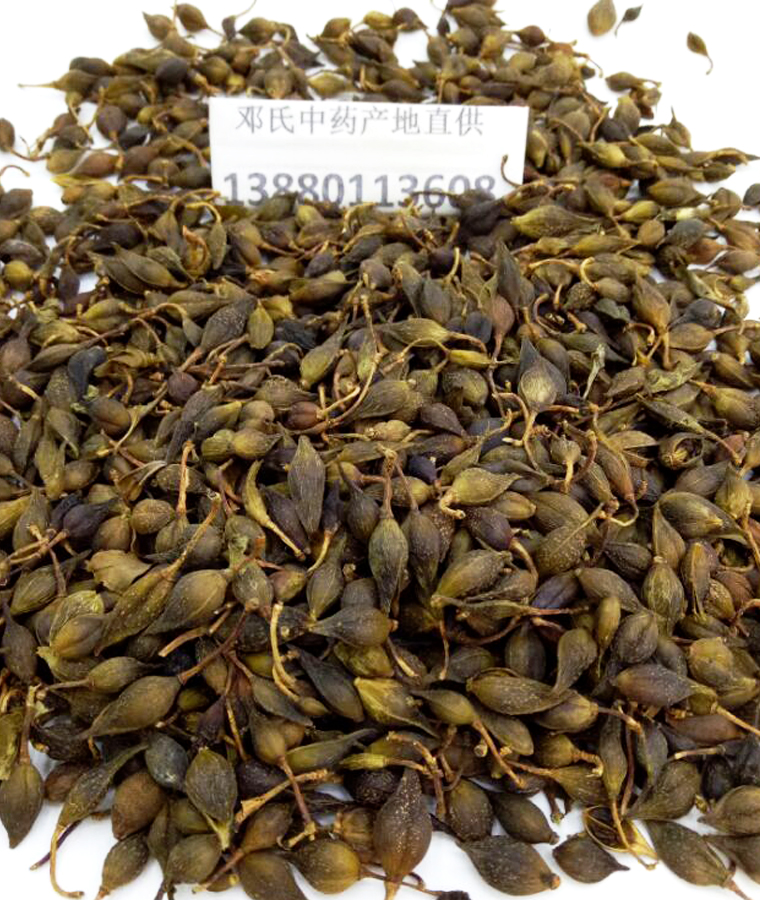 lianqiaoal08.jpg