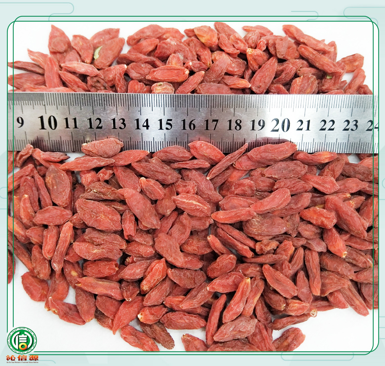 qinghaigouqi180lixuan08.jpg