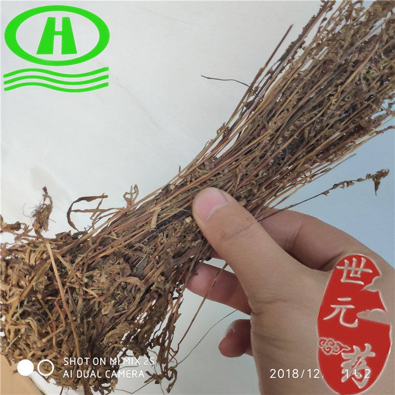 盘龙参380东~07_副本.jpg