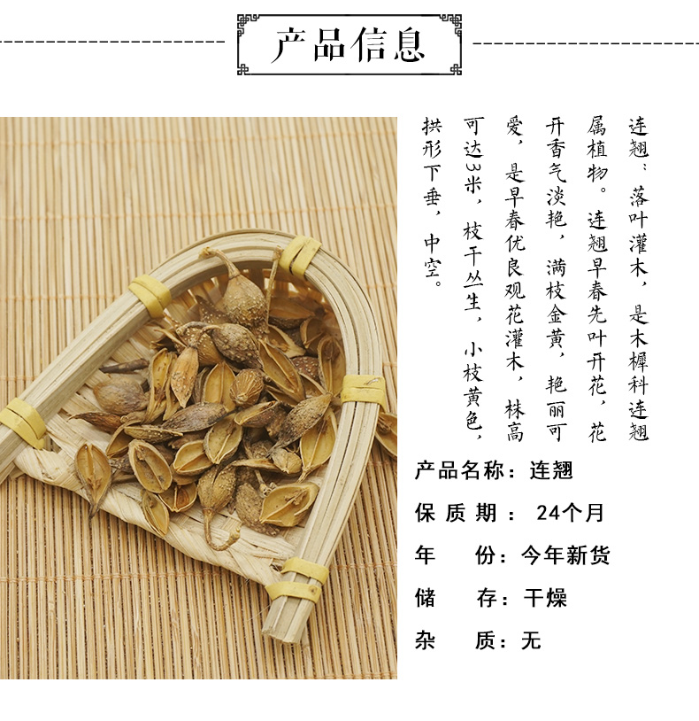 连翘_02.jpg