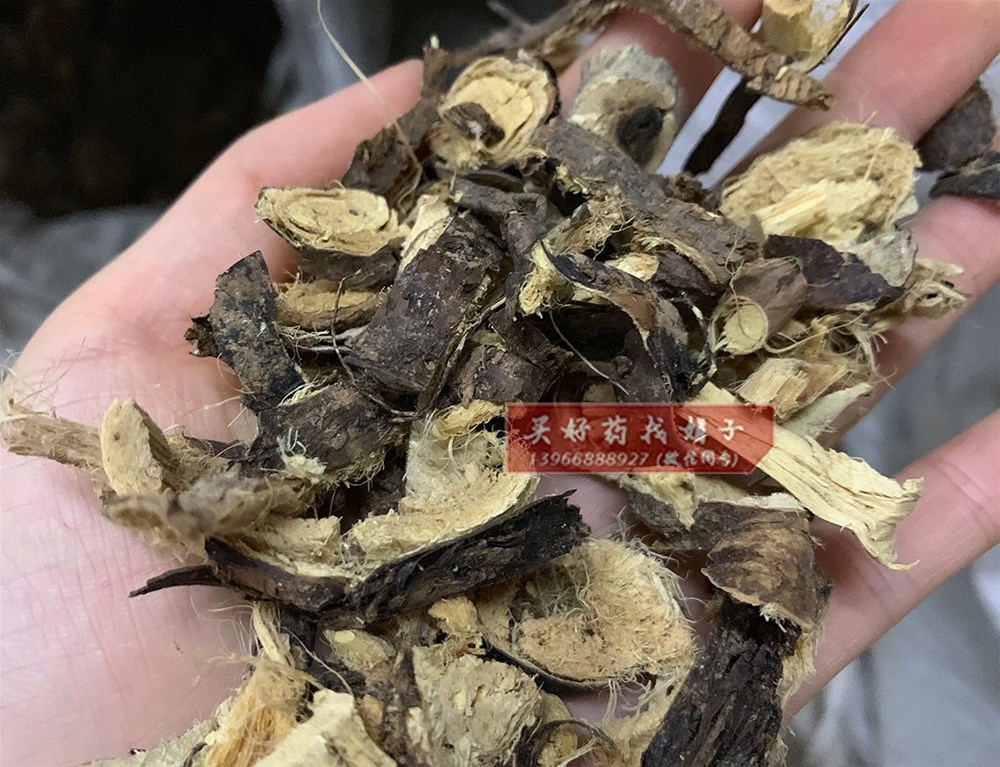 土黄芪 木质2 0.jpg