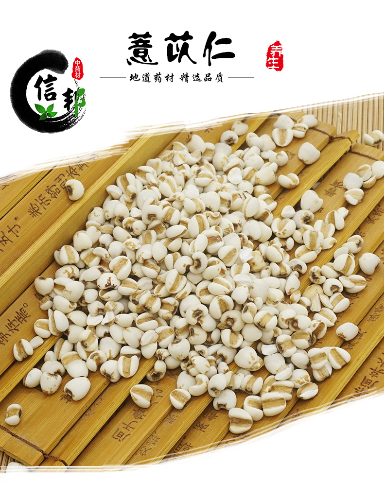 薏苡仁_01.jpg