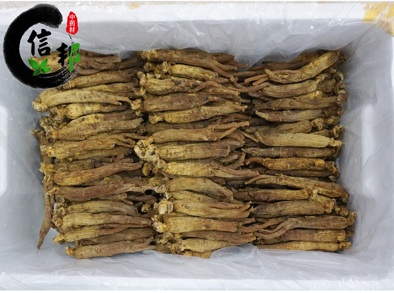 红参边条详情11.jpg