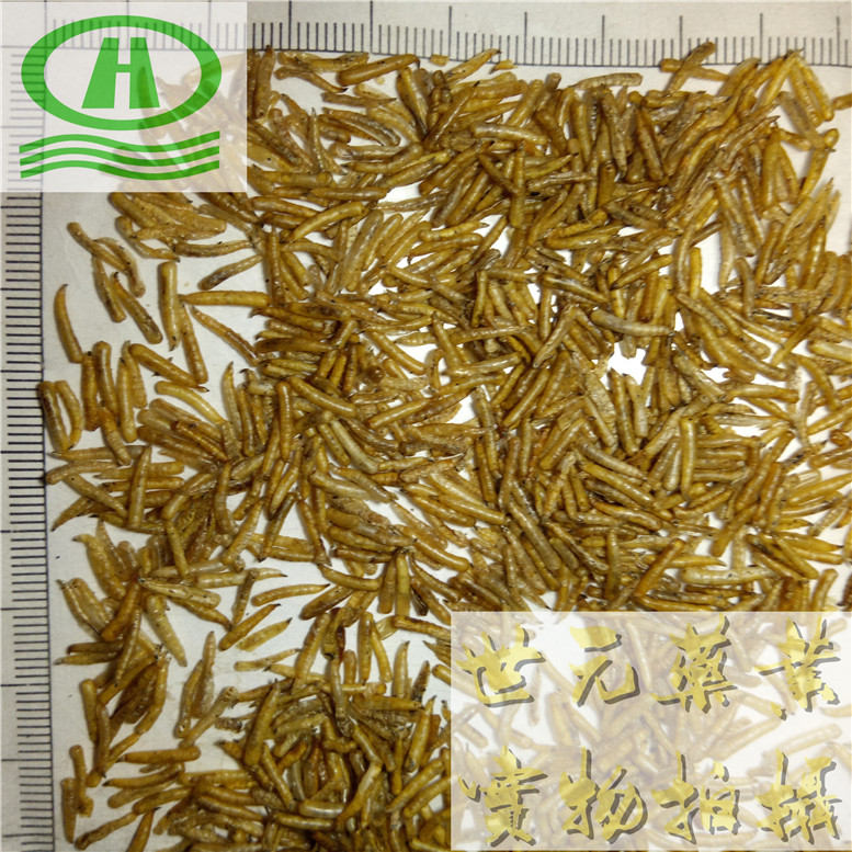 山萸肉1_副本.jpg