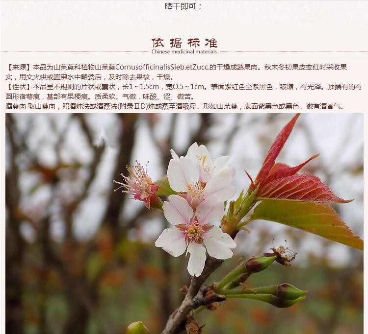 山萸肉10.jpg