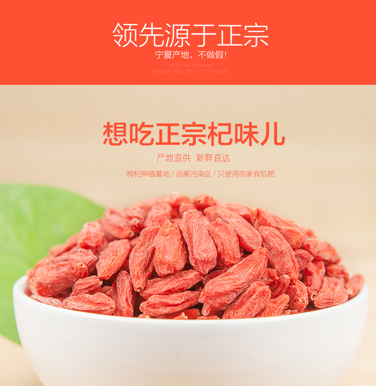 ningxiagouqi044.jpg