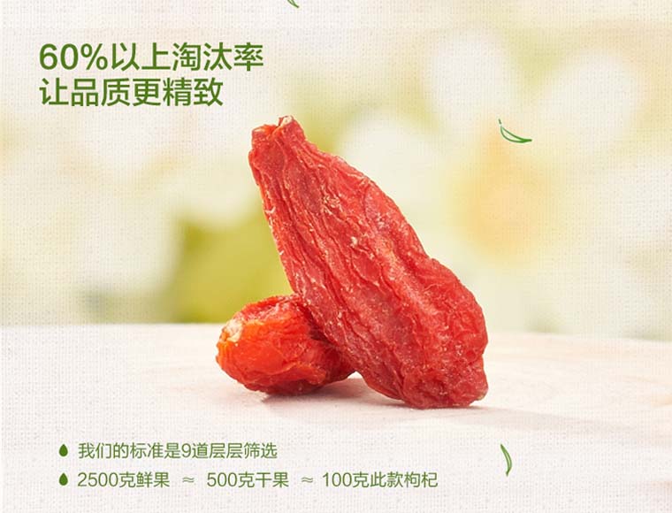 ningxiagouqi029.jpg