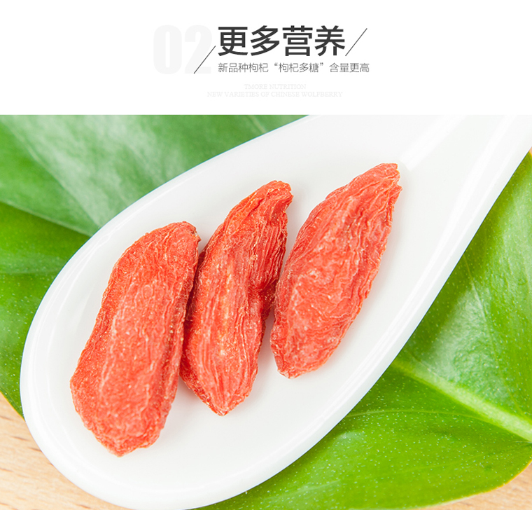 ningxiagouqi016.jpg