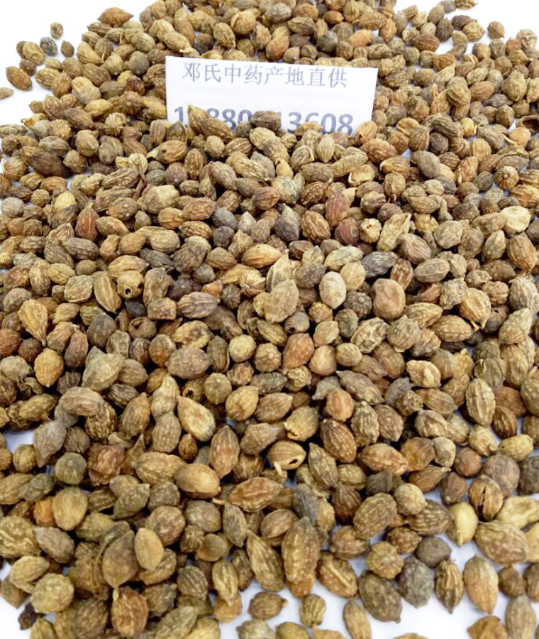 yizhirenal08.jpg