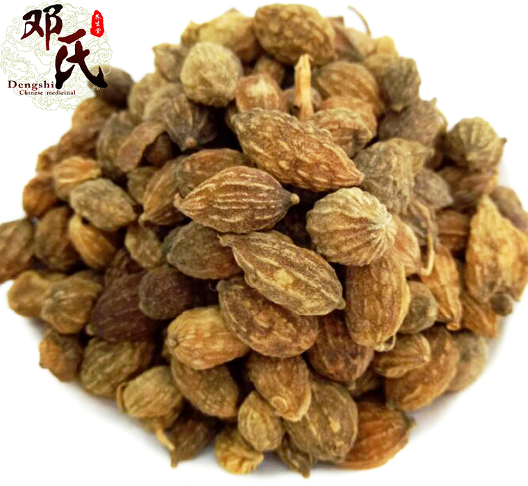 yizhirenal010.jpg