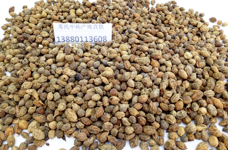 yizhirenal011.jpg