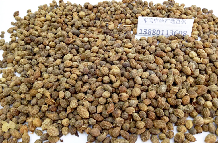yizhirenal012.jpg