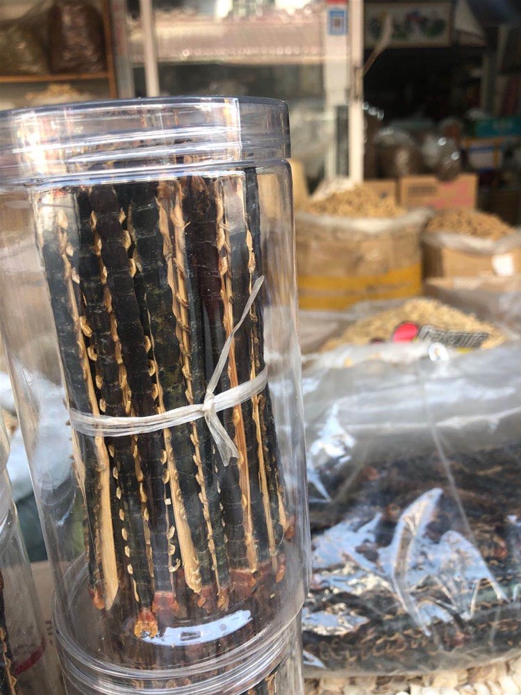 蜈蚣 13lm 2 (1).jpg