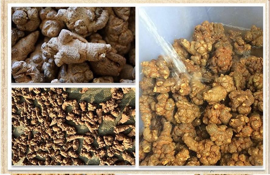 SDOISJD.jpg SDOISJD.jpg