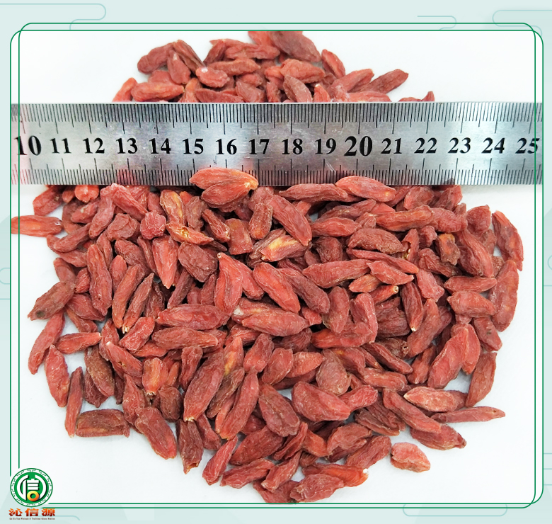 ningxiagouqi220lixuan08.jpg