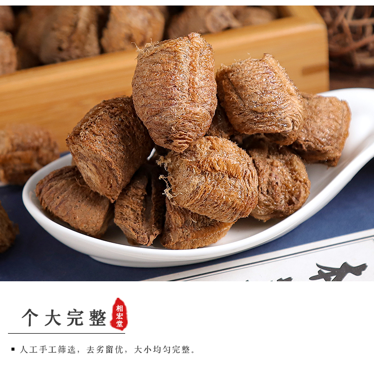 桑螵蛸_04.jpg