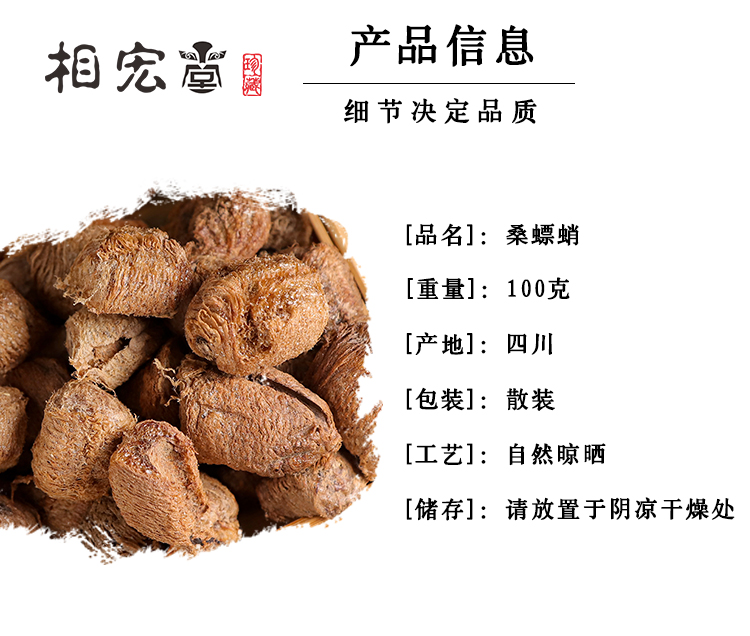 桑螵蛸_02.jpg