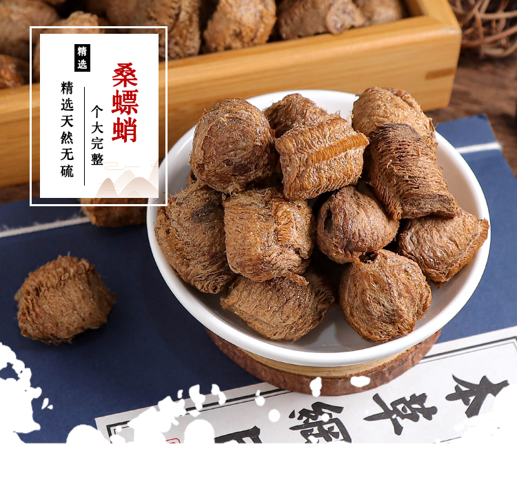 桑螵蛸_01.jpg