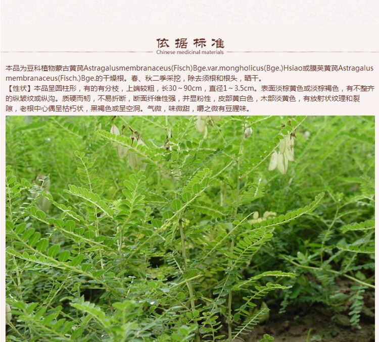 0.8-1.0黄芪8.jpg