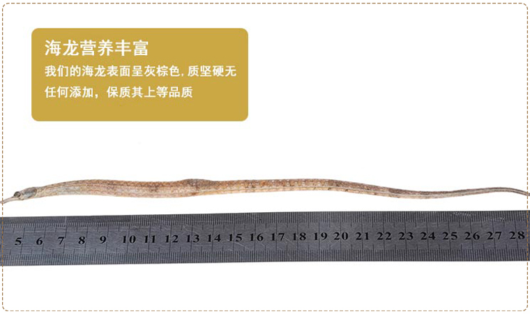 hailongxiao06.jpg