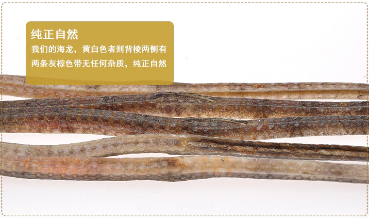 hailongxiao08.jpg
