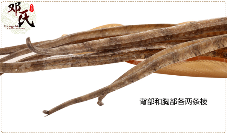 hailong023.jpg