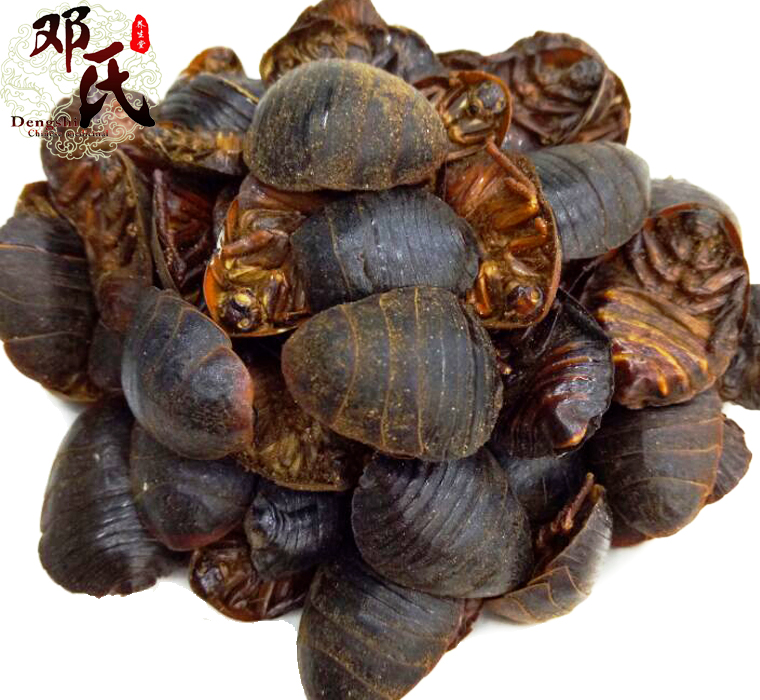 tubiechongal013.jpg