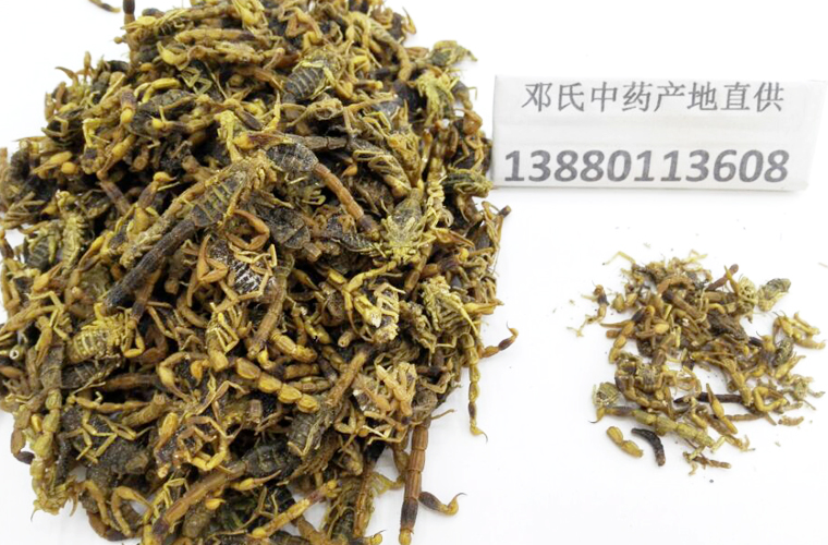quanxieyanshuiganhuoal015.jpg