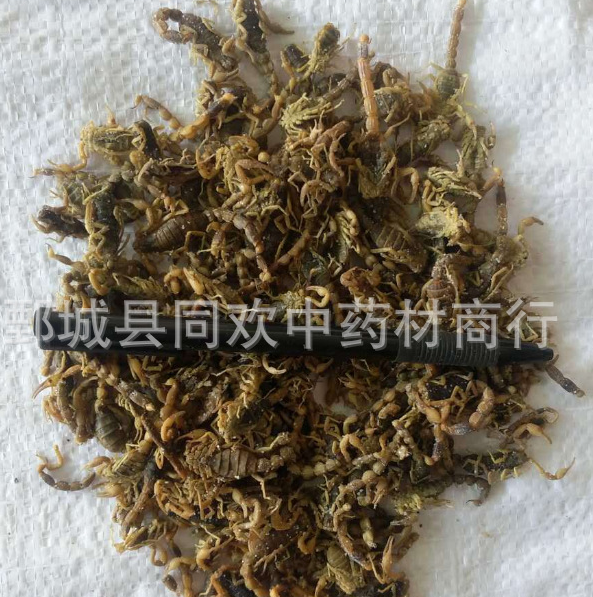 QQ截图20191207001302.png