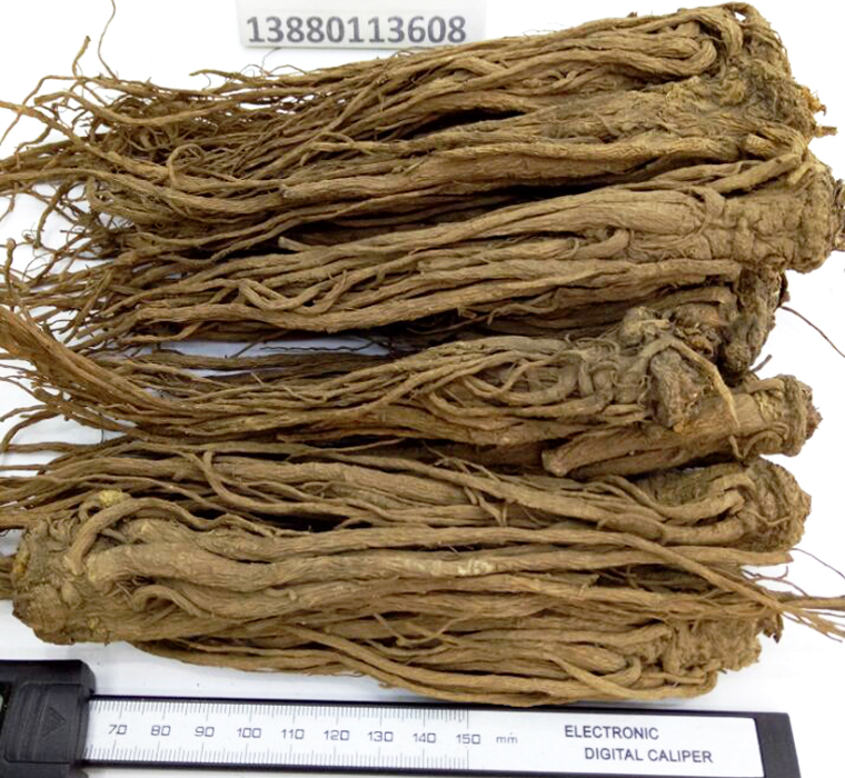 dangguiwuliuzhongtiaoal011.jpg