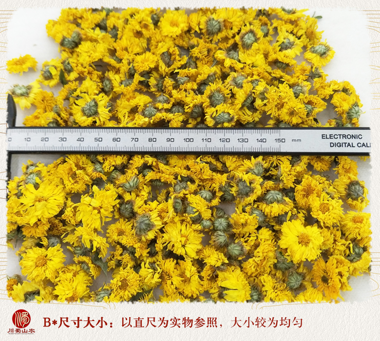 cstcssnhuanggongjuxuanhuo09.jpg