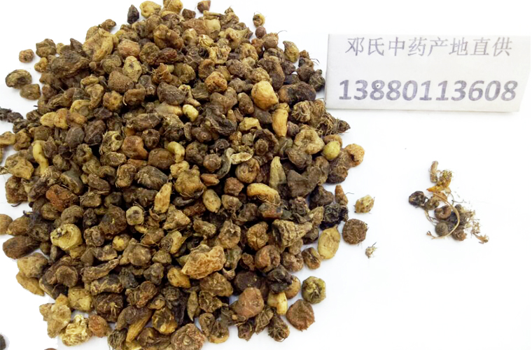 shancigubingqiuzial013.jpg