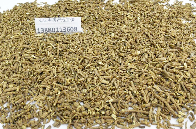 chaihugenal013.jpg