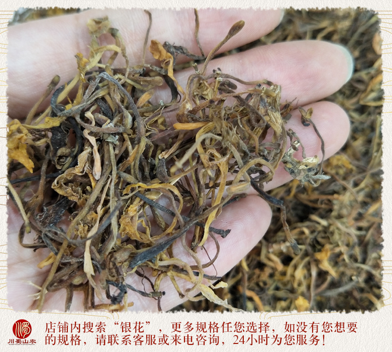 cstcssnshanyinhuahuangse012.jpg